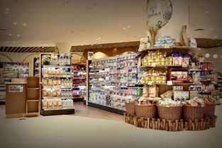 佳兆業旗下精品超市Casamia廣州亮相，新零售版圖再添時尚生活新場景