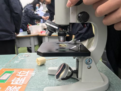校園科技節腦力值拉滿，學生玩嗨了！教學模型與教具銷售迎來熱潮